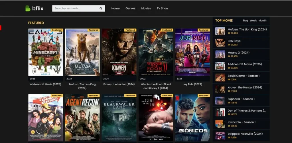 Bflix main image home page